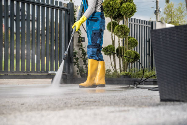 Best Dumpster Area Cleaning  in Bacliff, TX